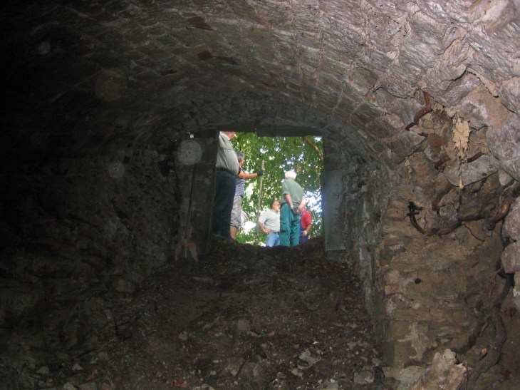 SommerkellerFledermä09