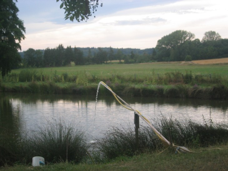 WasserzulaufForelle01