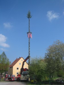 Maibaum201901